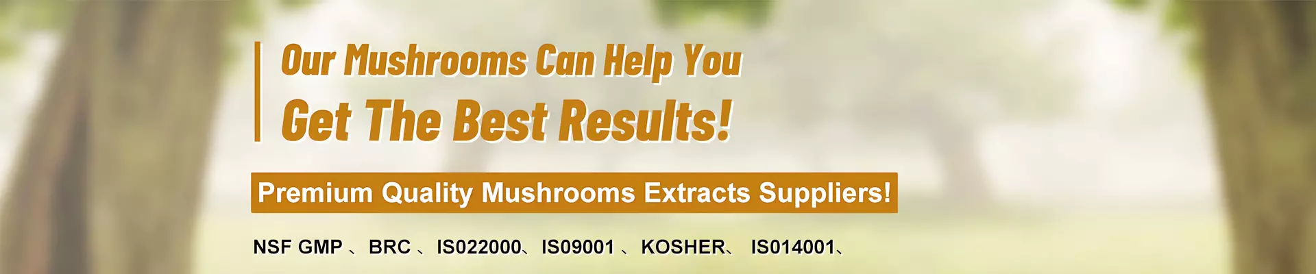 https://kor.needke.com/storage/upload/images/company/6346/baseset/2026/05/05/1777949395636224.webp